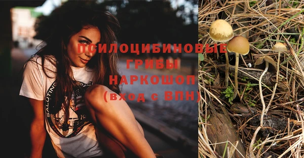 соль курить ск Аркадак