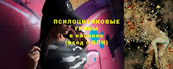 а пвп мука Армянск