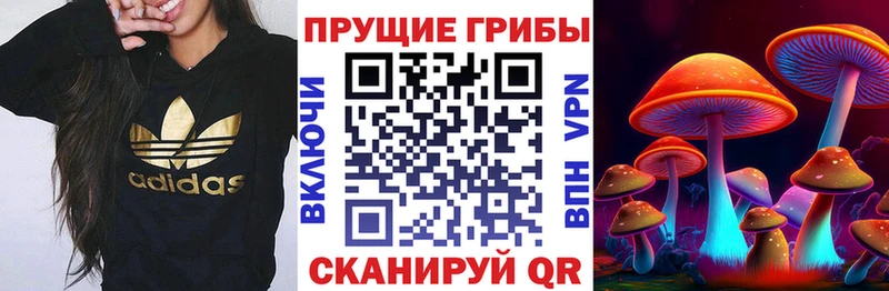 Галлюциногенные грибы Magic Shrooms  Спас-Деменск 
